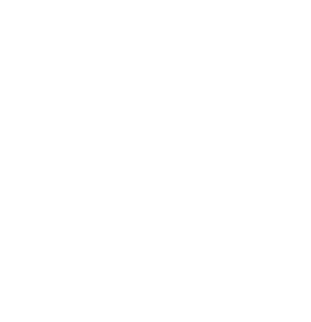 Brandsome