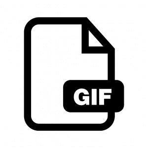 Gif file format